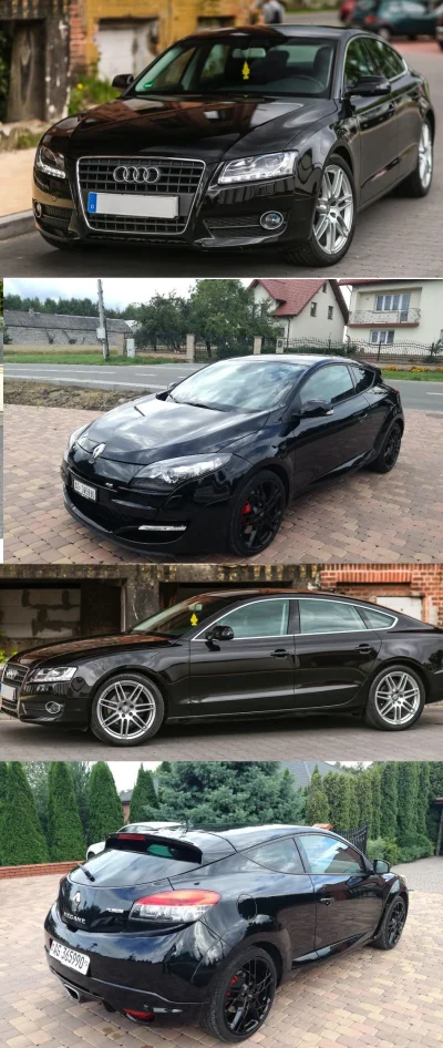 czterydwadolary - Audi A5 2.0 TSI (180-211km) czy Renault Megane 2.0 T (250-265)? 

...