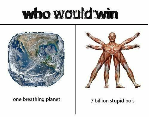 Stupid earth. Мемы про землю и людей. Nature memes. What on Earth meme. Can Type in java script on Planet Earth meme.