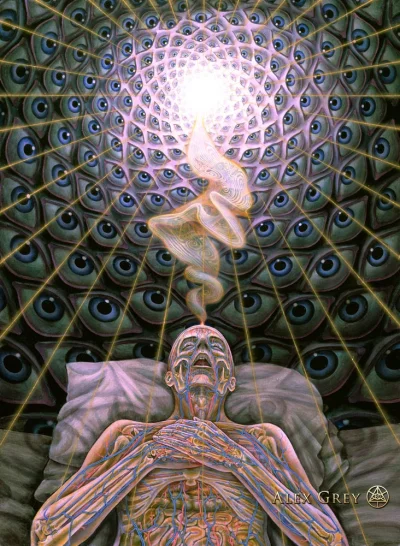 S.....p - Jako ciekawostkę wrzucam obraz Alexa Greya inspirowany LSD