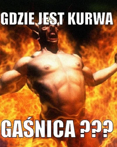 janusz_pol - @Ferdek1212: juz dawno chcą mnie wykończyć z wykopu nie uda im się to sc...