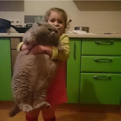 Alyn - #kot
#koty
#kotnadzis 
#pokazkota 
#zwierzaczki