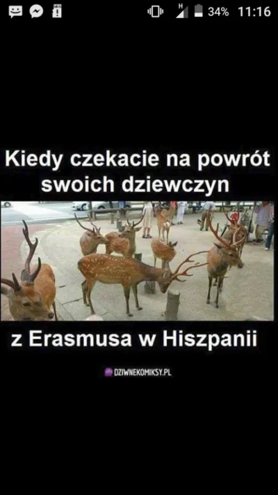 J.....7 - Jak tam, mamy tu jakiegoś betę rogacza? :DDD #erasmus #seks #zwiazki