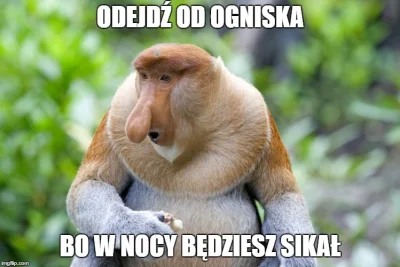 szwagier_roku - > ale już

#polakicebulaki #polak #testoviron #heheszki #humorobraz...