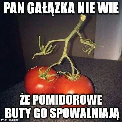 TwojPan - #humor #heheszki #humororazkowy