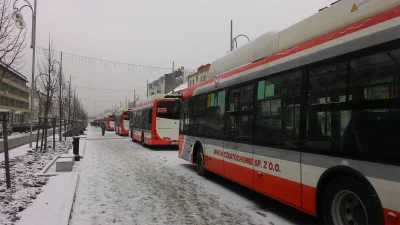 Krzys91 - Tyle zapalniczek i to tak dużych na Alejach można zobaczyć :) #czestochowa ...