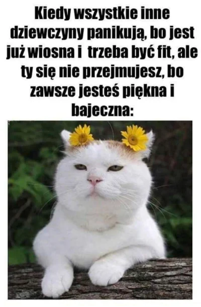 Siaa - #bylomilionrazy #bylomilardrazybedziejeszczeraz

Hehe, znacie to uczucie Mirab...