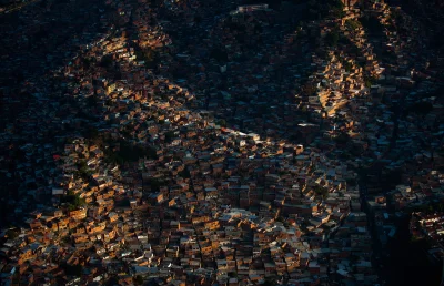 myrmekochoria - Petare, przedmieścia (mniejsze miasto obok) Caracas, Wenezuela. Autor...