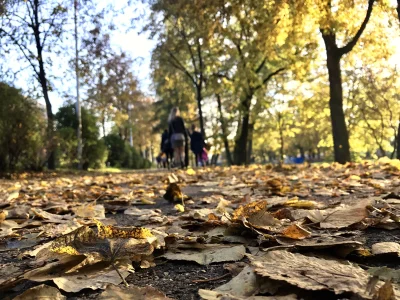 chozi - Fotka z wczorajszego spaceru z żoną i dzieciakami.

#jesien #spacer #fotograf...
