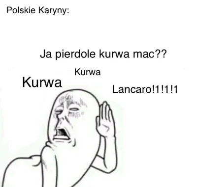 KleKotka - Skisłam XD #karyny #memy