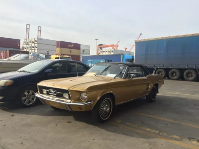 CyganskiKsiaze - Ford Mustang '67 #autazportu #mustang #oldtimer