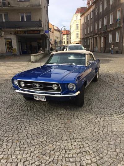 balb - #carspotting #carboners #klasykimotoryzacji #mustang #raciborz 

patrzcie co d...