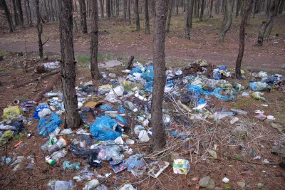 rybak17 - A śmieci w lasach, rzekach, przy torach to też zasługa Polaków?
