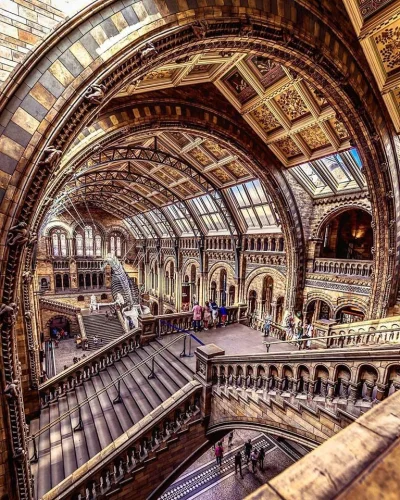 Castellano - Muzeum Historii Naturalnej w Londynie. UK
foto: ike_pineda instagram
#...