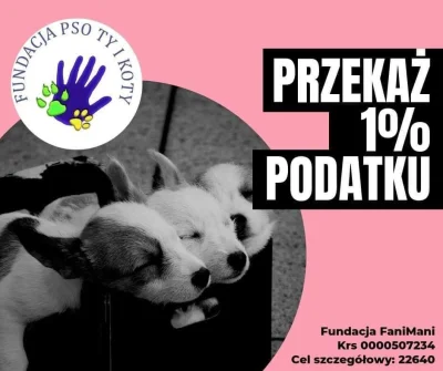 FundacjaPso-TyiKoty - Już o to prosiliśmy, ale nie mieliśmy zweryfikowanego konta, wi...