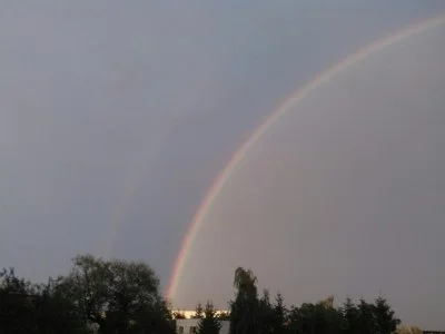 sidhe - > No to jest jeszcze nadzieja dla Poznania. Może nie wszystko stracone :)))
...