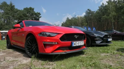 stopaotestuje - Ostatnio jeździłem swoim własnym marzeniem - nowy #mustang jeszcze le...