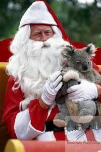 spokoczajnik - Mikołaj i jego pomocnik ʕ•ﻌ•ʔ
Swoją drogą święta w Australii muszą być...