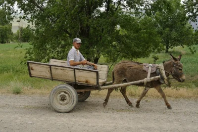 adam-swoboda - podlasie expres
#heheszki #takaprawda #podlasie