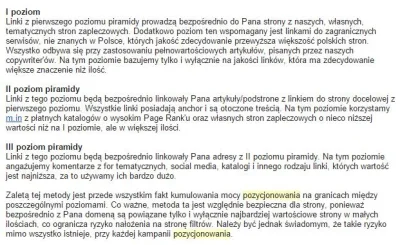 bartov - Mirki, co sądzicie o pozycjonowaniu piramidowym? Chcę zrobić biznes z pewną ...