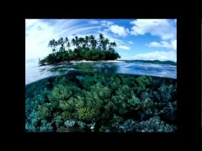 sulam_ - The Future Sound of London - Papua New Guinea (High Contrast Mix)
Gatunek: ...