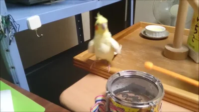 likk - no to jeszcze #zwierzaczkowegify

#gif #zwierzaczki #zwierzeta

na począte...