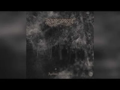 pmrncult - #blackmetal #finlandia #hatespirit

https://nykta.gr/album/ageless-wilde...