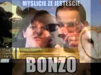 RzecznikWykopu - @seikii: