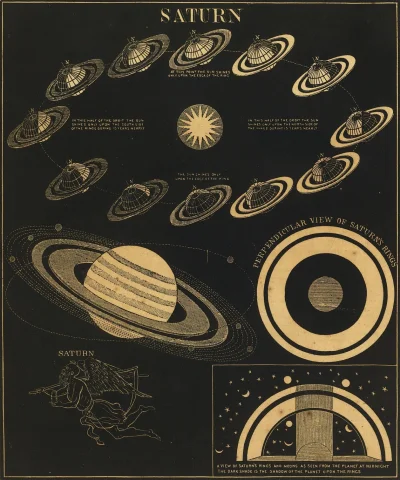 myrmekochoria - Saturn