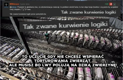 Clefairy - Czy istnieje bardziej #!$%@? umysłowa grupa na wykopie niż wojujący miesoż...