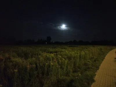 2906518 - Księżyc w #lublin