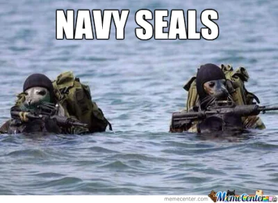 Raziel91 - Jaki kraj takie Navy SEALS ( ͡° ͜ʖ ͡°)