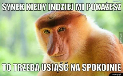 PeaK - #heheszki #humorobrazkowy #nosaczsundajski #polska #polak