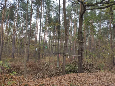 kokshed - Kiedy spacerujesz po lesie i znajdujesz polską edycję #blairwitchproject

#...
