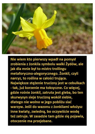 WodzNaczelny - #heheszki #447 #czarnyhumor #takaprawda #florystyka #kwiaty 
( ͡°( ͡°...