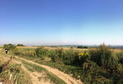 Fiodooor - Kraków z daleka. Idealnie widac smog unoszący sie nad tym pięknym miastem,...