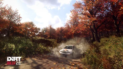 Szczebaks - #dirtrally2