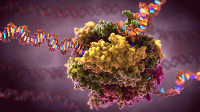 bioslawek - Polimeraza RNA


#biologia #nauka #biochemia #biofizyka #animacje #fil...