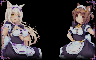 n.....S - #randomanimeshit #nekopara #coconut #azuki #kemonomimi #neko
są już karty ...