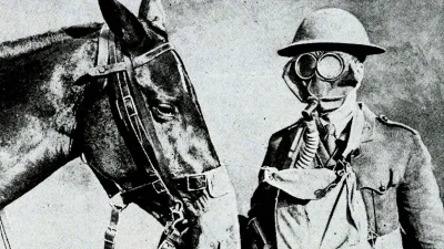 Blaskun - @HaHard: Nie wiem. Wpisałem w google horse gas mask i mi wyszło :)
To jest...