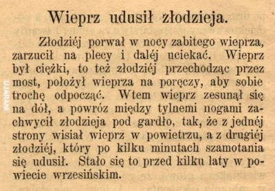 s.....e - #wieprz #zlodzieje