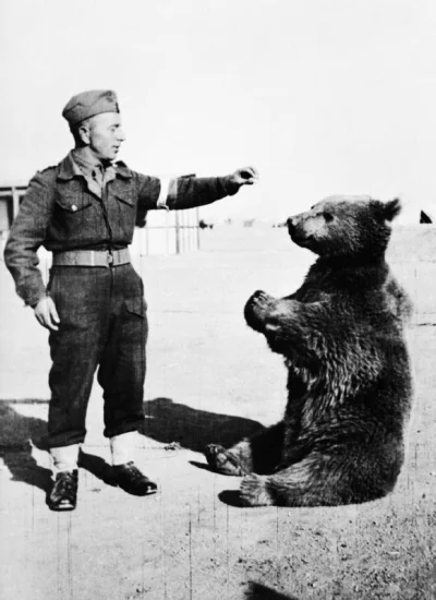 Cesarz_Polski - Ten uczuć gdy nawet niedźwiedź ma wyższy stopień wojskowy niż ty. xD
...