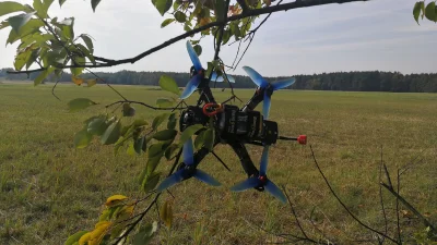 Mariusz_G - #drony juz w tym roku dojrzale, mozna zbierac