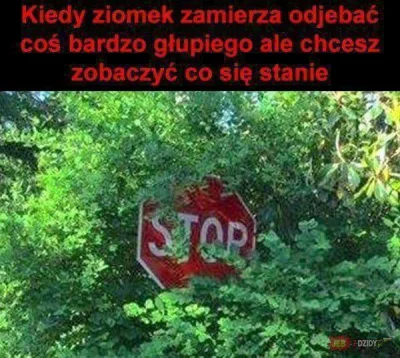 Ziomalov - Kto też tak ma?
#heheszki #humorobrazkowy