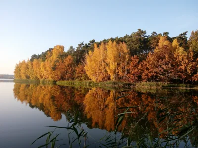 Ogur_ - wstałem dzisiaj od tych komputerów, za płotem mam las, taki normalny brzydki ...