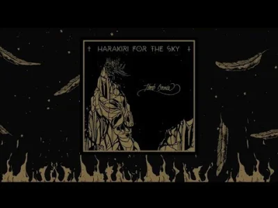 pufa13 - Jak Wam się podoba nowy album Harakiri For The Sky pt. "Anon"? ( ͡° ͜ʖ ͡°) J...