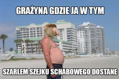 grzech_u - @zomowiec: Tego mema powinieneś wstawić ( ͡° ͜ʖ ͡°)