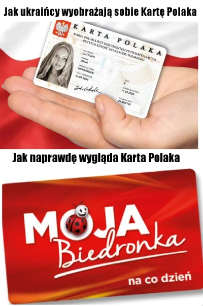 TamTenPolak - Karta prawdziwego Polaka xd
#heheszki #humorobrazkowy #emigracja