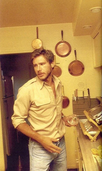 P.....f - młody Harrison Ford w kuchni
SPOILER
#ladnypan #harrisonford #kalkazreddi...