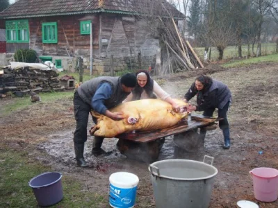 k.....n - @Ramox: Trolling Rumunów, którzy dostarczali mięso ( ͡° ͜ʖ ͡°) Nieco +18