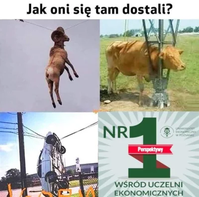 CsMines - Mam znajomą z #turystykairekreacja i no nie potrafię nie śmiać się kiedy mó...